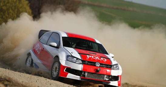 Testy Polo Proto